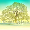Terapia Jąkania