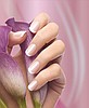 FRENCH WRAP MANICURE
