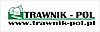Wycinka drzew , prace ogrodnicze   Trawnik-pol