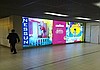 Neorama led