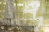Osuszanie scian murów piwnic pomieszczeń Warszawa