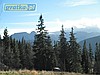 Działka inwestycyjna, 21 270 m2, Kościelisko