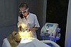 Laser IPL + RF