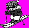 Zimowisko 2011 (Narciarsko-Snowboardowy Obóz Twórczego Rozwoju)