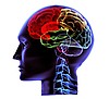 NEUROLOG Warszawa