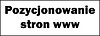 Pozycjonowanie stron