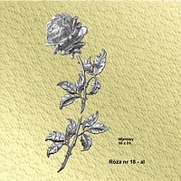 Róża nr 18 aluminiowa 53 cm, zdjęcie 1