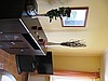 Apartament Kołobrzeg