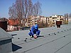 DEKARSTWO