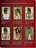 Zestaw dopinek z najlepszej jakości włosów naturalnych indyjskich REMY HAIR  długość włosów: 45cm