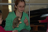 Zajęcia ogólnorozwojowe z muzyką dla dwulatków