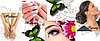 Studio urody Nail Pola