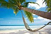 WARTA TRAVEL