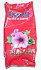Planton S