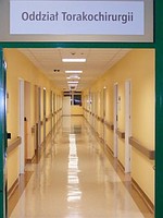 Doczyszczanie oraz zabezpieczanie wykładzin