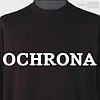 Ochrona Fizyczna stacjonarna