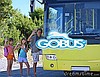 Wynajem autokarów Poznań wynajem busów Piła wynajem autobusów Konin Gniezno Kalisz Września Leszno