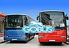 Wynajem autokarów Kraków wynajem busów Tarnów autobusy Nowy Sącz Brzesko Myślenice Olkusz Oświęcin