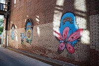 Liwkidacja graffiti