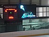 Ekran LED do zastosowań wewnętrznych - hale sportowe, targowe, wystawiennicze
