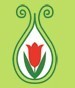 PMJ Consulting