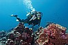 Kurs Open Water Diver