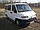 Fiat Ducato Panorama