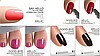Shellac