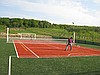 Tenis