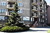 Wirtualne biuro