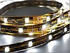 Taśmy LED WD-Strip-S5-30-IP20