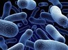 Bakterie coli w wodzie pitnej budzą strach - jak się ich pozbyć bez używania środków chemicznych?