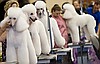 KURS PIELĘGNACJI PSÓW  — GROOMINGU